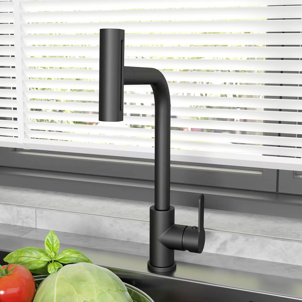 Black Pull Out Kitchen Sink Fa - Commercial Kitchen Faucet recension och pris