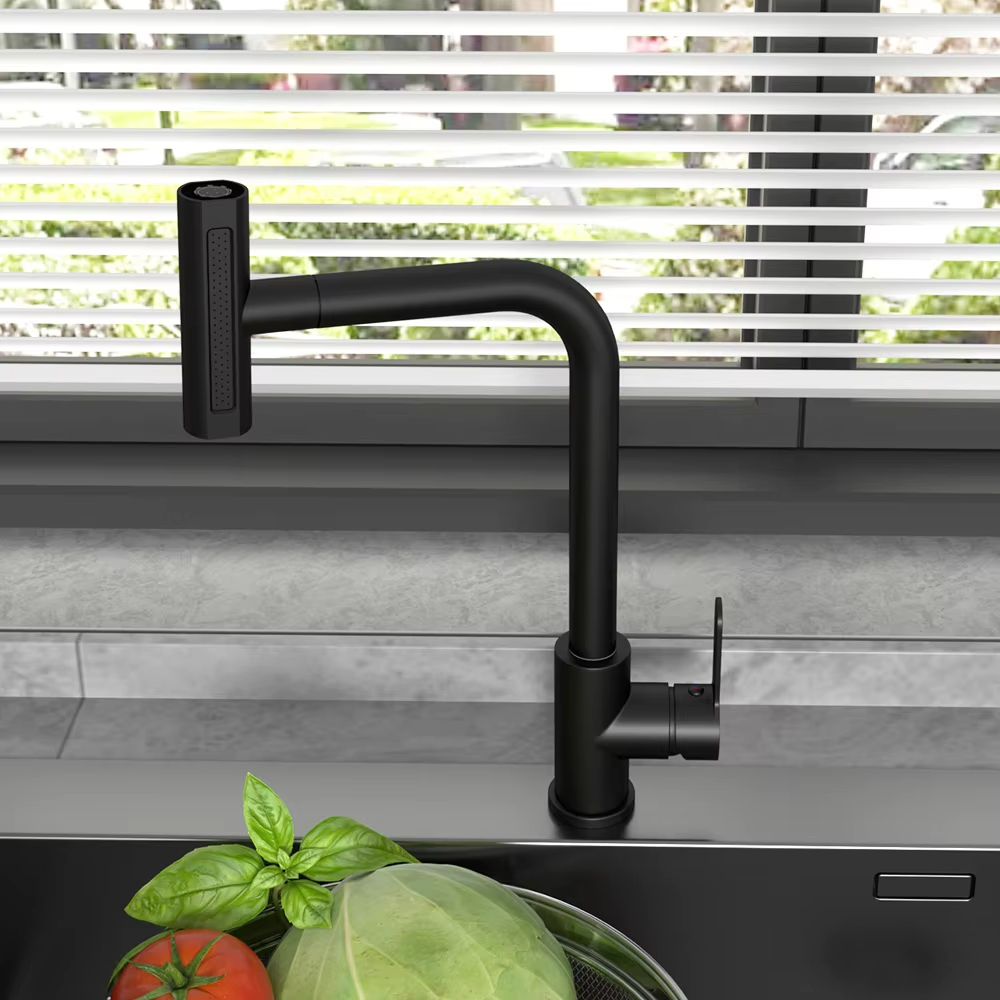Black Pull Out Kitchen Sink Fa - Commercial Kitchen Faucet recension och pris